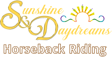 Sunshine and Daydreams Horseback Riding